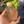 A hand holding a rectangular glass bottle of Aura 6 by Zannis Eau de Parfum with a textured gold cap, set against a background of green foliage and a blurred outdoor scene.